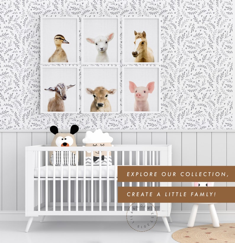 Alpaca Print, Llama Wall Art Printed and Shipped Poster Nursery Farm Animal, Farmhouse Decor, Colourful Baby Room Alpaca image 4