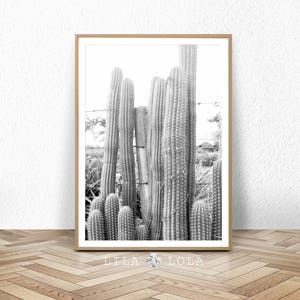 Cactus Print, Cacti Photo, Black and White Photography, Digital Download, Large Printable Wall Art, South Western Decor, Southwestern Print image 1