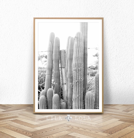Cactus Print, Cacti Photo, Black and White Photography,  Digital Download, Large Printable Wall Art, South Western Decor, Southwestern Print