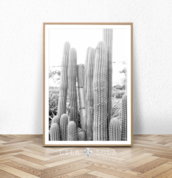 Black and White Cactus Photo Print: Southwestern Decor (Digital Download)