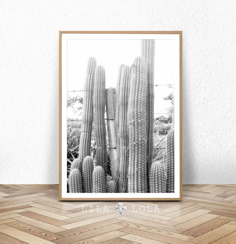 Cactus Print, Cacti Photo, Black and White Photography, Digital Download, Large Printable Wall Art, South Western Decor, Southwestern Print image 1
