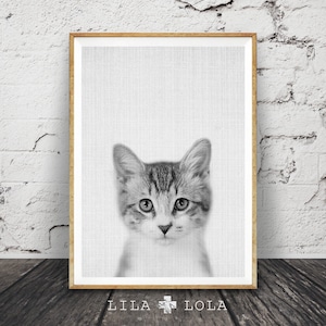 Kitten Print, Nursery Baby Animal Wall Art, Large Poster, Digital Download, Modern Minimalist Decor, Cat Photo, Cute Kitten, Black and White