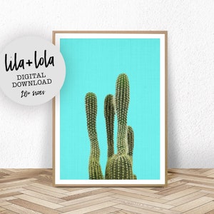 Cactus Print, Western Decor, Printable Large Poster, Modern Botanical Photo, Plant Photography, Boho Arizona Mexican Wall Art, Turquoise