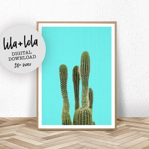 Kaktus Druck, Western-Dekor, druckbares großes Poster, modernes botanisches Foto, Pflanzenfotografie, Boho Arizona Mexikanische Wandkunst, Türkis