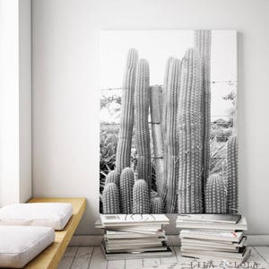 Cactus Print, Cacti Photo, Black and White Photography, Digital Download, Large Printable Wall Art, South Western Decor, Southwestern Print image 2