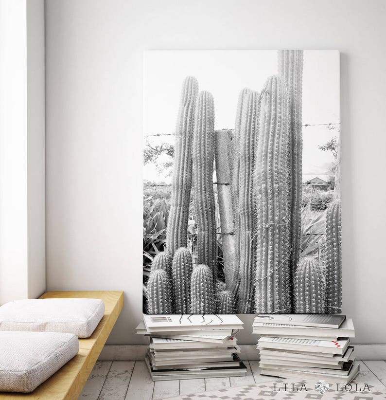 Cactus Print, Cacti Photo, Black and White Photography, Digital Download, Large Printable Wall Art, South Western Decor, Southwestern Print image 2