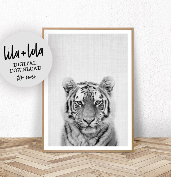 Tiger Print Nursery Animal Wall Art Black and White Etsy