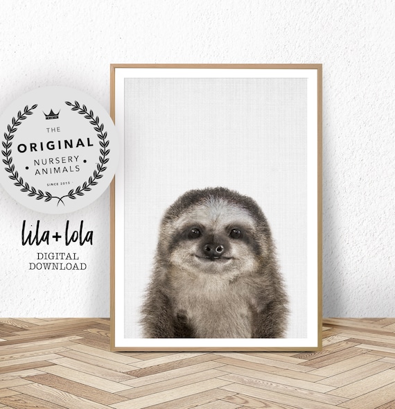 Sloth Print Descarga digital imprimible Nursery Baby Animal - Etsy México