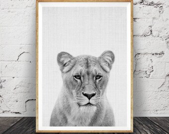Impression portrait de lionne : art animalier de safari en noir et blanc (téléchargement numérique)