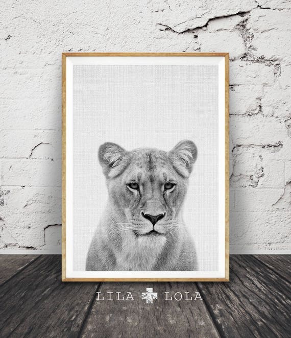 Lioness Print, Lion Wall Art, Black and White, Safari Nursery Poster, African Animal, Large Instant Digital Download, Minimalist, Kids Room