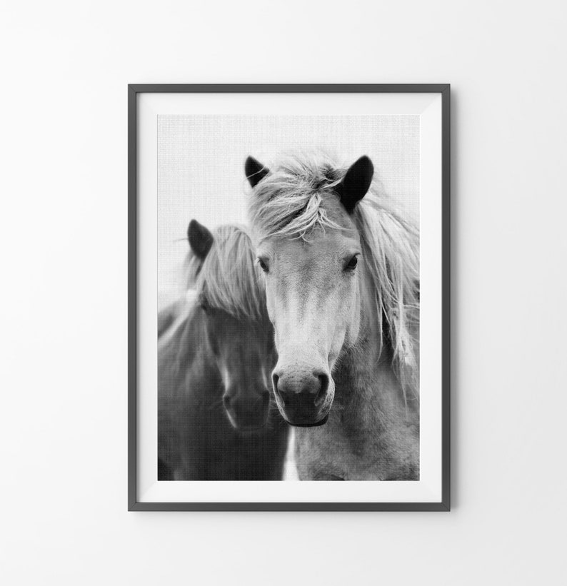 Horse Wall Art Print Photography Black and White Digital Etsy