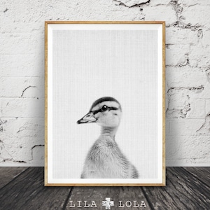 Duckling Print, Baby Duck Photo, Nursery Farm Animal Wall Art, Black, White and Grey Decor, Printable Poster, Modern Minimalist, Farmhouse