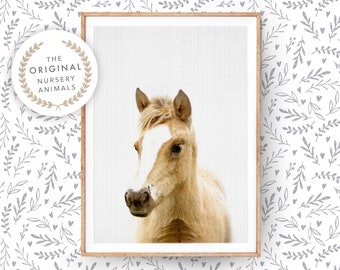 Baby Horse Foal Print ~ Farm Animal Nurser Wall Art Decor ~ Printed and Shipped ~ Large Poster for Kids Room ~ Farmhouse Style