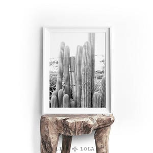 Cactus Print, Cacti Photo, Black and White Photography, Digital Download, Large Printable Wall Art, South Western Decor, Southwestern Print image 4