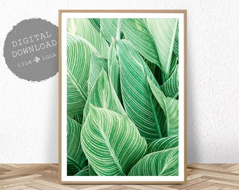 Tropical Plant Wall Art, Leaf Print, Printable Digital Download, Large Poster, Tropical Wall Decor, Plant Leaf Printable, Leaf Wall Decor