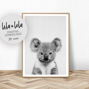 Koala Print, Australian Animal Nursery Print, Nursery Wall Art Animals, Baby Animal Prints, Digital Download, Animal Wall Art Prints