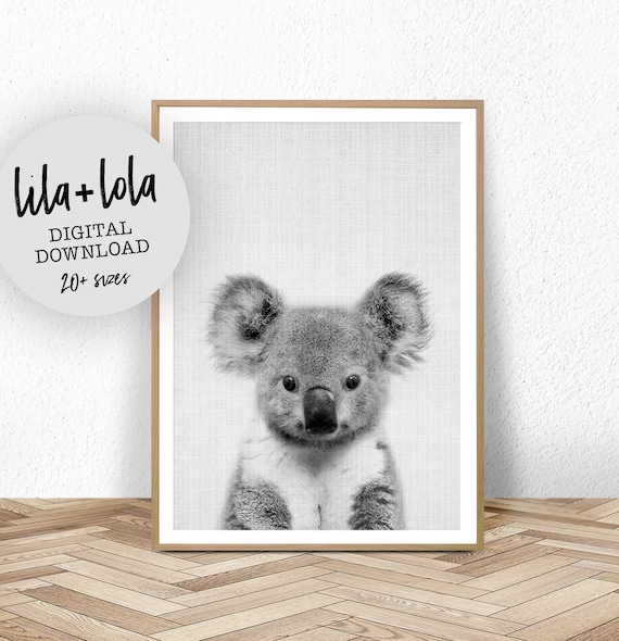 Baby Koala Print - Digital Download