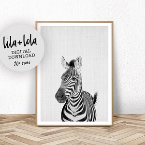 Zebra Print, Nursery Printable, Animal Wall Art, Printable Instant Download, Large Safari Decor Poster, Cute African Photo, Black and White image 1