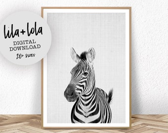 Zebra Print, Nursery Printable, Animal Wall Art, Printable Instant Download, Large Safari Decor Poster, Cute African Photo, Black and White