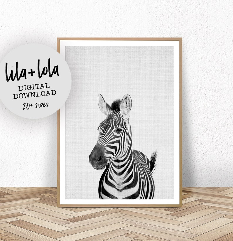 Zebra Print, Nursery Printable, Animal Wall Art, Printable Instant Download, Large Safari Decor Poster, Cute African Photo, Black and White 