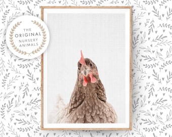 Chicken Wall Art Print ~ Farm Animal Poster for Nursery Room, Hen ~ Printable Digital Download ~ Kids Farmhouse Decor Photo Picture