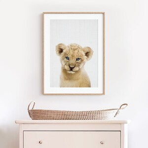 May include: A framed print of a cute lion cub with blue eyes looking directly at the camera. The background is a light grey.