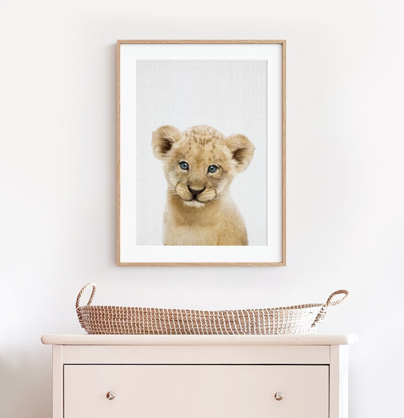 May include: A framed print of a cute lion cub with blue eyes looking directly at the camera. The background is a light grey.
