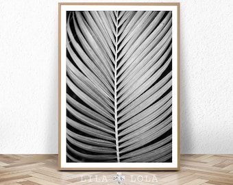 Black and White Wall Art Poster, Palm Leaf Print, Plant Photo, Minimalist Tropical Poster, Printable Digital Download, Palm Tree Leaf Print