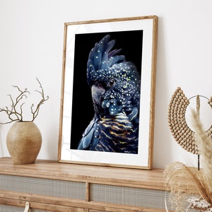 Australian Bird Print, Printable Black Cockatoo Wall Art, Parrot, Digital Download, Bird Poster, Navy Blue, Photography, Black Cockatoo