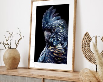 Australian Bird Print, Printable Black Cockatoo Wall Art, Parrot, Digital Download, Bird Poster, Navy Blue, Photography, Black Cockatoo