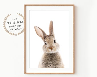 Bunny Wall Art Print ~ Nursery Rabbit Decor ~ Printable Digital Download ~ White Background