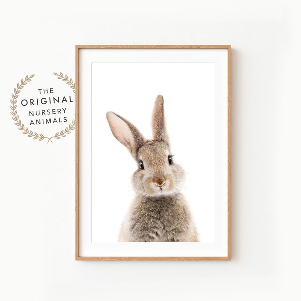 Bunny Wall Art Print ~ Kwekerij Rabbit Decor ~ Afdrukbare digitale download ~ Witte achtergrond