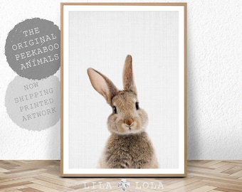 Nursery Bunny Rabbit Print, Wall Art Decor, Printed and Shipped, Woodland Animal Posters, Baby Shower Decoration, Peekaboo Forest Animals