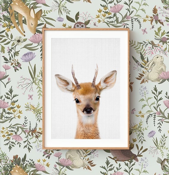 Baby Deer Fawn Wall Art Print ~ Nursery Decor Poster ~ Printable Digital Download
