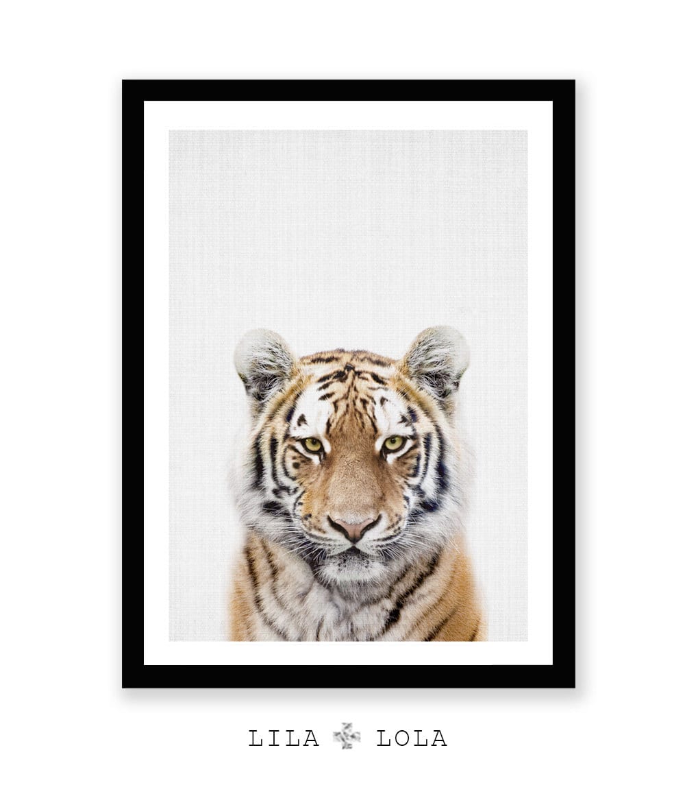 kids room decor nursery decor. Beautiful wild tiger animal decor illustration art print tiger kids wall decor