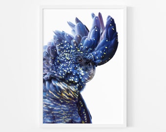 Black Cockatoo Print: Australian Native Bird Wall Art (Digital Download)