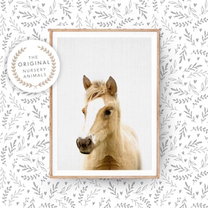 Impresión de arte de pared de caballo bebé ~ Póster de animal de granja para habitación de bebé, potro ~ Descarga digital imprimible ~ Imagen fotográfica de decoración de granja para niños
