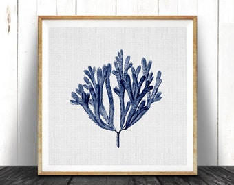 Navy Blue Square Coral Print, Coastal Decor, Seaweed Illustration, Beach Nautical, Printable Digital Download, Sea Pulp, Ocean Plant Life