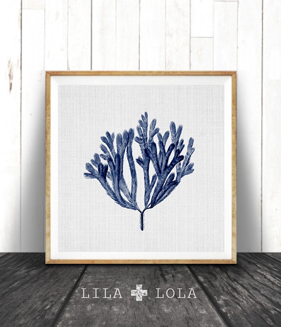 Navy Blue Square Coral Print, Coastal Decor, Seaweed Illustration, Beach Nautical, Printable Digital Download, Sea Pulp, Ocean Plant Life