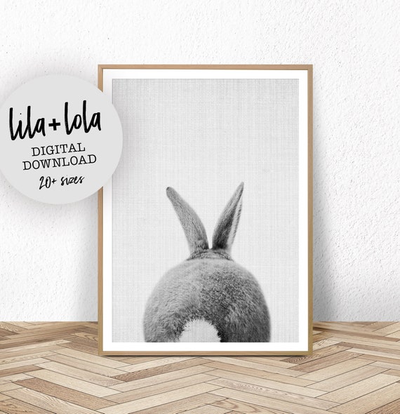 Bunny Rabbit Tail Print - Digital Download