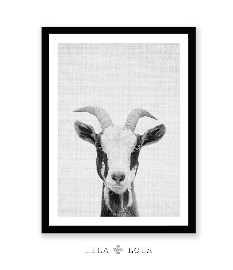 Goat Print Nursery Farm Animal Wall Art Black and White Etsy
