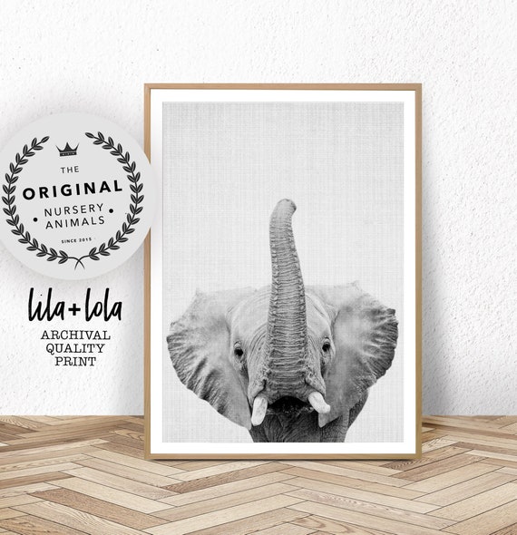 Elephant Print, Safari Nursery Decor, Nursery Wall Art Animal, Large Wall Art, Kids Room Art, Boys Room Decor