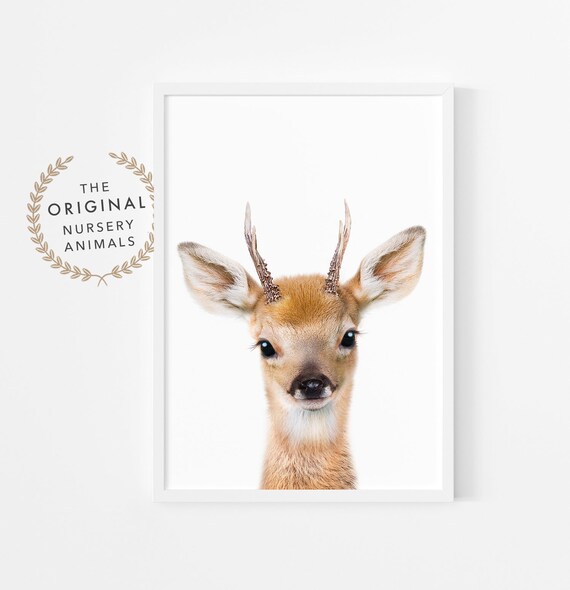 Baby Deer Fawn Print ~ Nursery Wall Art Decor ~ Printable Instant Digital Downloadable ~ Woodland Baby Animal Poster