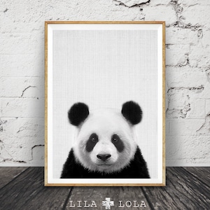 Panda Print, Nursery Wall Art Decor, Black and White Animal, Printable Poster, Kids Room, Digital Download, Modern Minimalist, Photo