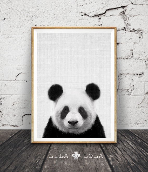 Panda Print, Nursery Wall Art Decor, Black and White Animal, Printable Poster, Kids Room, Digital Download, Modern Minimalist, Photo