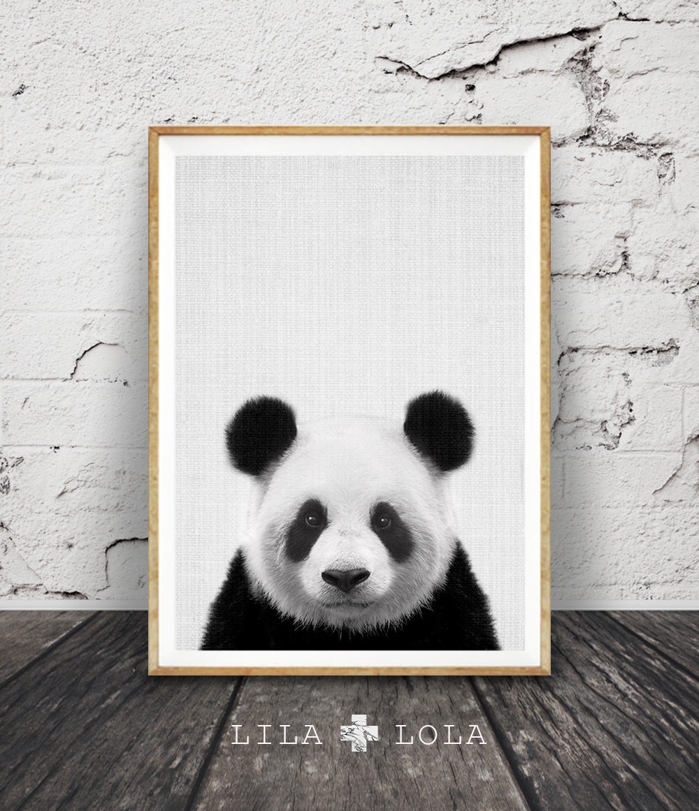 Baby Panda Fine Art Print - Animal Art, Panda Poster, Nursery Art, Gift  Ideas, Wall Decor