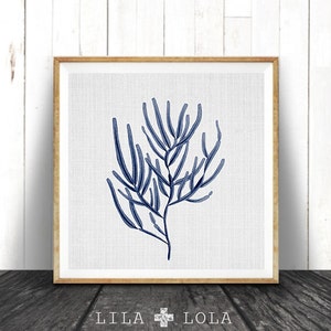 Indigo Blue Square Coral Print, Coastal Decor, Seaweed Illustration, Beach Nautical, Printable Digital Download, Sea Pulp, Ocean Plant Life