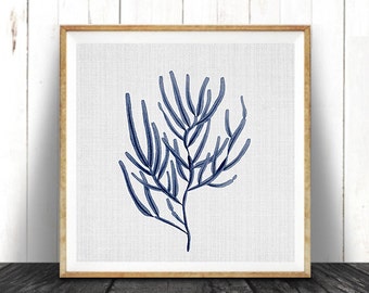 Indigo Blue Square Coral Print, Coastal Decor, Seaweed Illustration, Beach Nautical, Printable Digital Download, Sea Pulp, Ocean Plant Life