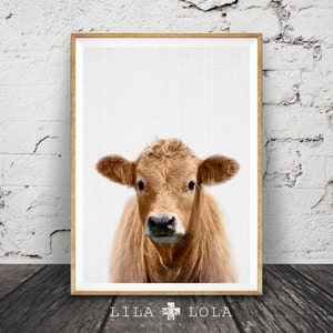 Cow Print, Nursery Farm Animal Wall Art, Colour Printable Photo, Digital Download, Large Poster, Farmhouse Decor, Modern Minimalist