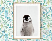 Penguin Wall Art Print ~ Printable Poster ~ Nursery Baby Animal